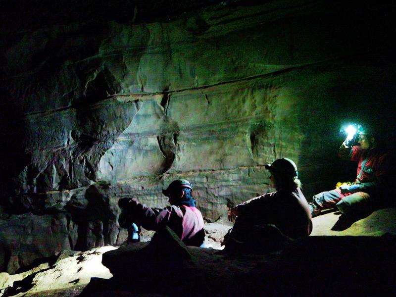 Thumbnail of photo from this article